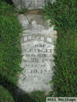 Joseph M Padgett