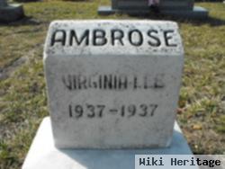 Virginia Lee Ambrose