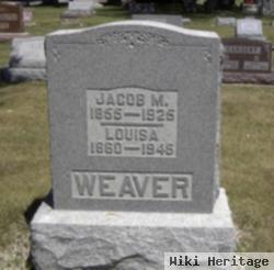 Jacob M Weaver