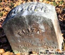 Eliza Whipple Johnson