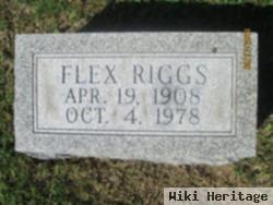 Flex Riggs