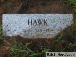 Ida Hawk