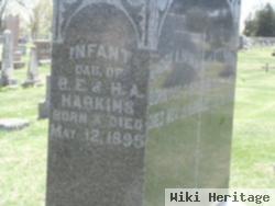 Infant Daughter Harkins