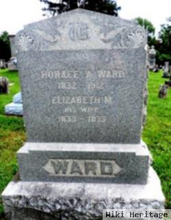 Elizabeth M Ward