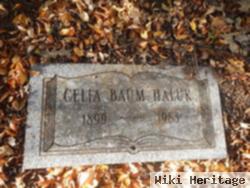 Celia Baum Haluk