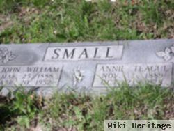 Annie Francis Teague Small