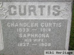 Saphronia Andrews Curtis