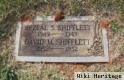 David M Shifflett