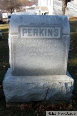 Edward J Perkins