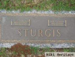 Sue Cowan Sturgis