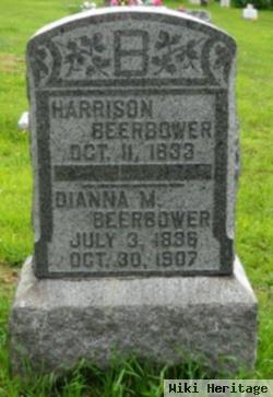 Dianna M Beerbower