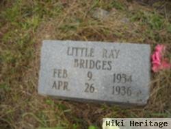 Ray Bridges