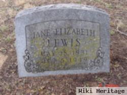 Jane Elizabeth Lewis