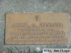 David A Strausz