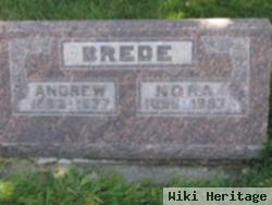 Andrew Andreas Fritz Otto Brede