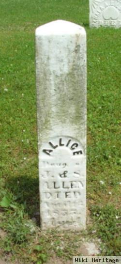 Alice Allen