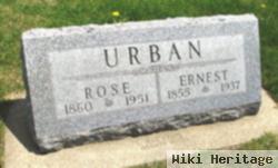 Rose Urban