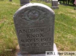 Andrew J Knox