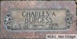 Charles Andrew Burgess