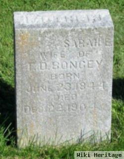 Sarah Elizabeth Schroll Bongey