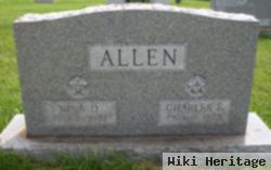 Nina D Allen