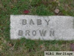 Baby Brown