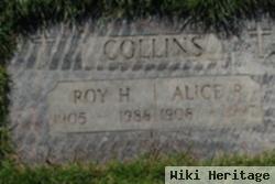 Roy H Collins