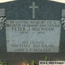 Peter J Brennan