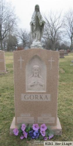 John Gorka