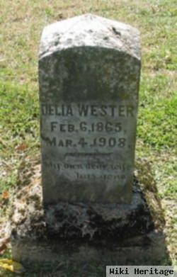 Delia Wester