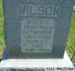 Catherine Newton Wilson