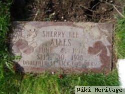 Sherry Lee Ailes