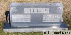 Minnie Carter Little