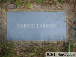 Carrie Wold Larson