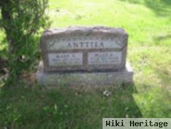 Mary Catharine Dahlgren Anttila