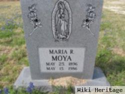 Maria R Moya