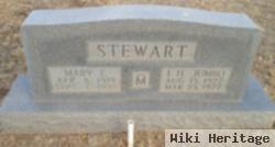 Mary Edna Alford Stewart