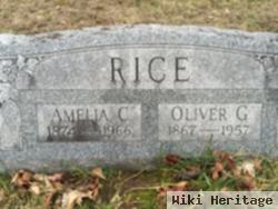 Amelia Elizabeth Campbell Rice