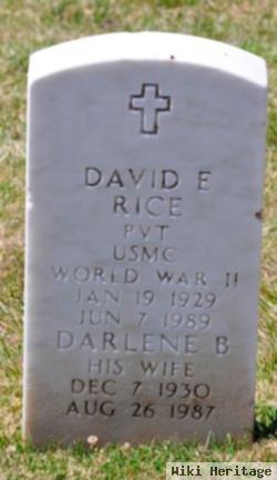 David E Rice