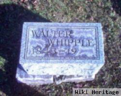 Walter Whipple