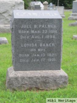 Joel B. Palmer