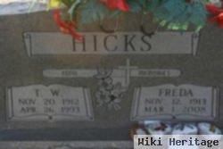 T W Hicks