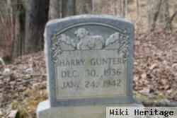 Harry Gunter