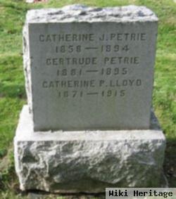 Catherine J. Petrie