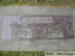 Joseph E Jelinek