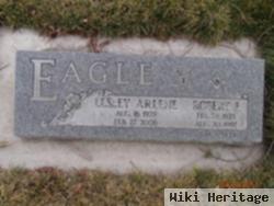 Lesley Arlene Eagle