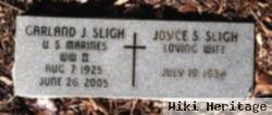 Joyce Fay Shelton Sligh