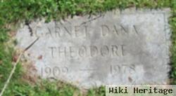 Garnet J. Dana Theodore