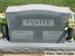 Maco Panter