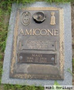 Mary Amicone